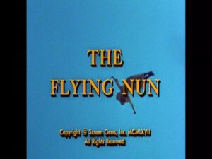 -The Flying Nun (1967)-<br>The Complete Series