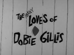 -Many Lives of Dobie Gillis (1959)-<br>The Complete Series