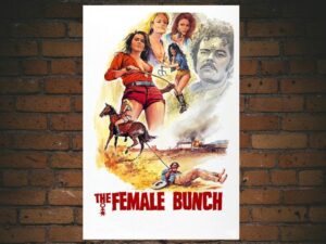 -The Female Bunch (1971)-<br>The Original Movie