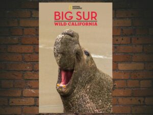 -Big Sur-Wild California (2010)-<br>The Original Movie