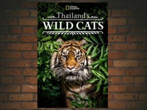 -Thailand's Wild Cats (2021)-<br>The Original Movie