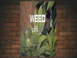 -Weed - Dr Sanjay Gupta: Medical Marijuana (2021)-<br>The Original Movie