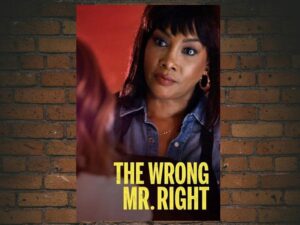 -The Wrong Mr. Right (2021)-<br>The Original Movie