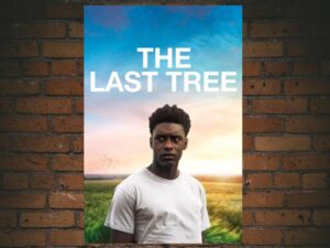 -The Last Tree (2019)-<br>The Original Movie