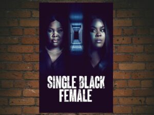 -Single Black Female (2022)-<br>The Original Movie