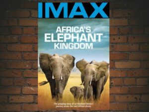 -IMAX Africa's Elephant Kingdom (1998)-<br>The Original Movie