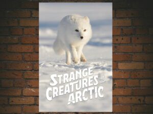 -Strange Creatures Of The Arctic (2022)-<br>The Original Movie