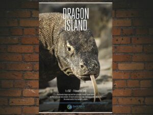 -Dragon Island (2016)-<br>The Original Movie