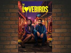 -The Lovebirds (2020)-<br>The Original Movie