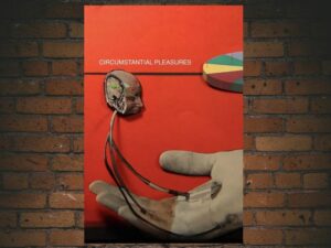 -Circumstantial Pleasures (2020)-<br>The Original Movie