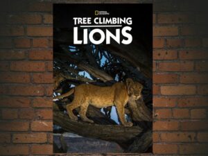 -Tree Climbing Lions (2018)-<br>The Original Movie