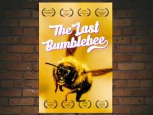 -The Last Bumblebee (2024)-<br>The Original Movie