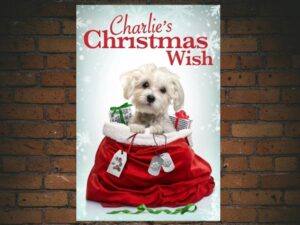 -Charlie's Christmas Wish (2020)-<br>The Original Movie