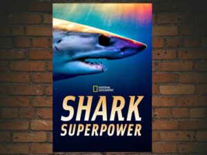 -Shark Superpower (2022)-<br>The Original Movie