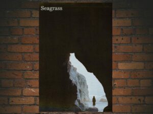 -Seagrass (2024)-<br>The Original Movie