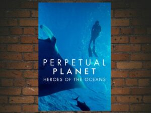 -Perpetual Planet: Heroes of the Oceans (2020)-<br>The Original Movie