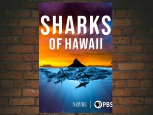 -Nature: Sharks of Hawaii (2021)-<br>The Original Movie