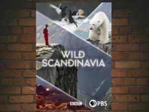 -Wild Scandinavia (2023)-<br>The Complete Series