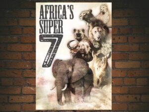 -Africas Super Seven (2005)-<br>The Original Movie