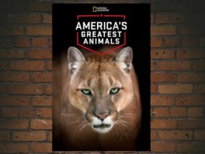-Americas Greatest Animals (2012)-<br>The Original Movie