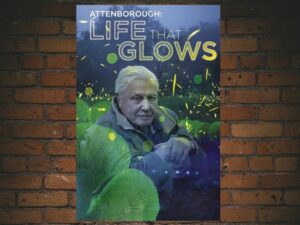 -Attenboroughs Life That Glows (2016)-<br>The Original Movie