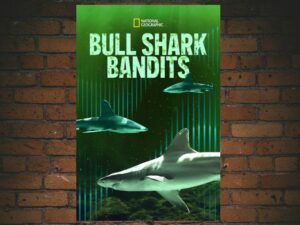-Bull Shark Bandits (2023)-<br>The Original Movie