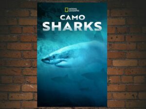-Camo Sharks (2022)-<br>The Original Movie