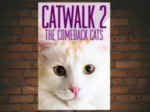 -Catwalk 2: The Comeback Cats (2022)-<br>The Original Movie