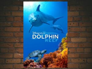 -Dolphin Reef (2020)-<br>The Original Movie