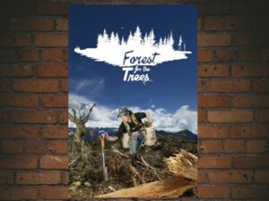 -Forest for the Trees (2003)-<br>The Original Movie