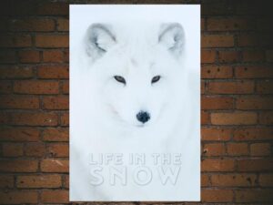 -Life In The Snow (2016)-<br>The Original Movie