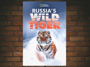-Russias Wild Tiger (2016)-<br>The Original Movie
