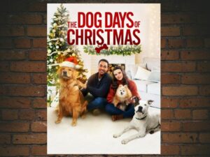 -Sit. Stay. Love. (2016)-<br>The Original Movie