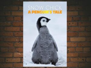 -Snow Chick - A Penguins Tale (2015)-<br>The Original Movie