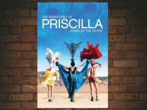 -The Adventures of Priscilla Queen of the Desert (1994)-<br>The Original Movie