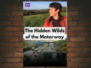 -The Hidden Wilds of the Motorway (2020)-<br>The Original Movie