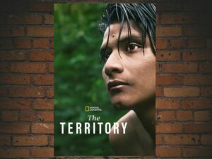 -The Territory (1981)-<br>The Original Movie