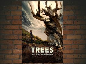 -Trees and Other Entanglements (2023)-<br>The Original Movie