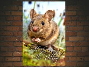 -Wild Tales From The Village (2016)-<br>The Original Movie