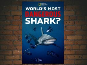 -Worlds Most Dangerous Shark? (2019)-<br>The Original Movie