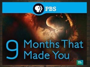 -9 Months That Made You (2016)-<br>The Complete Series