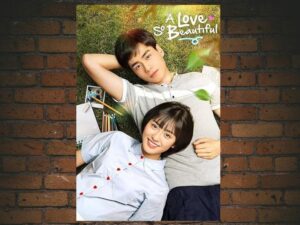 -A Love So Beautiful (2017)-<br>The Complete Series