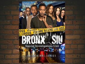 -Bronx SIU (2018)-<br>The Complete Series