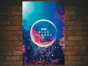 -The Blue Planet (2001)-<br>The Complete Series