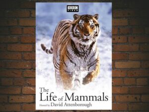 -The Life of Mammals (2002)-<br>The Complete Series