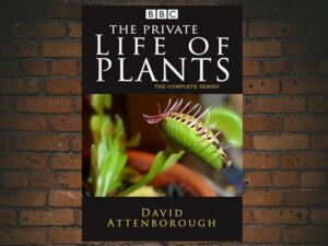 -The Private Life of Plants (1995)-<br>The Complete Series