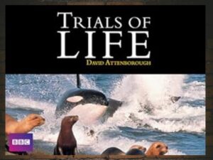 -The Trials of Life (1990)-<br>The Complete Series