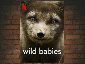 -Wild Babies (2022)-<br>The Complete Series