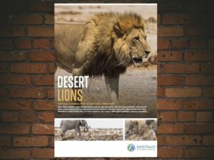 -Desert Lions (2017)-<br>The Original Movie