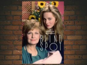 -Blind Spot (1993)-<br>The Original Movie